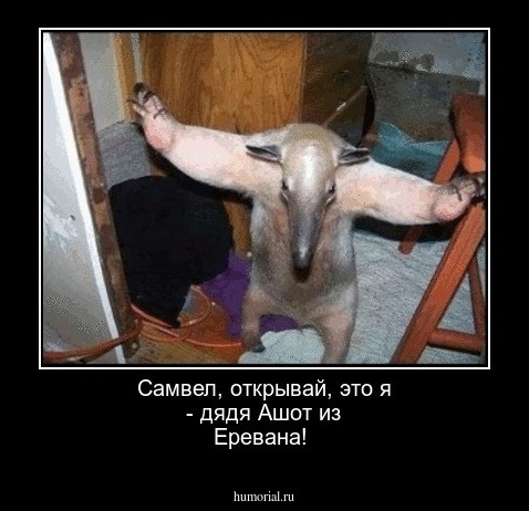 Самвел, открывай, это я - дядя Ашот из Еревана!
