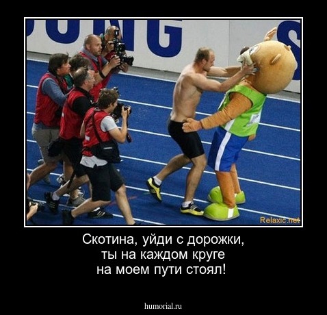 Скотина, уйди с дорожки, ты на каждом круге на моем пути стоял!