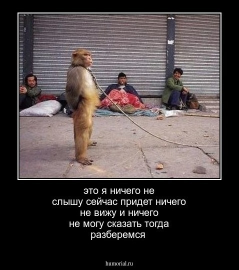 это я ничего не слышу сейчас придет ничего не вижу и ничего не могу сказать тогда разберемся 