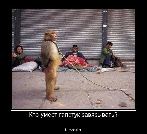 Кто умеет галстук завязывать?