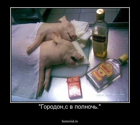 "Городон,с в полночь."