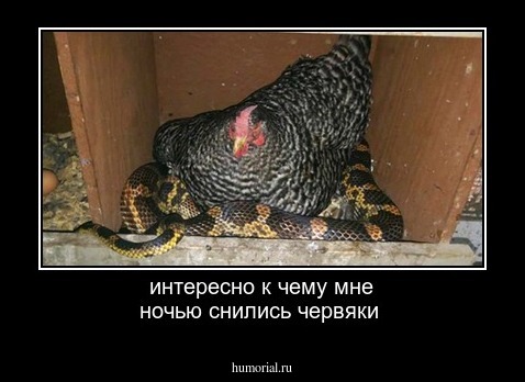 интересно к чему мне ночью снились червяки