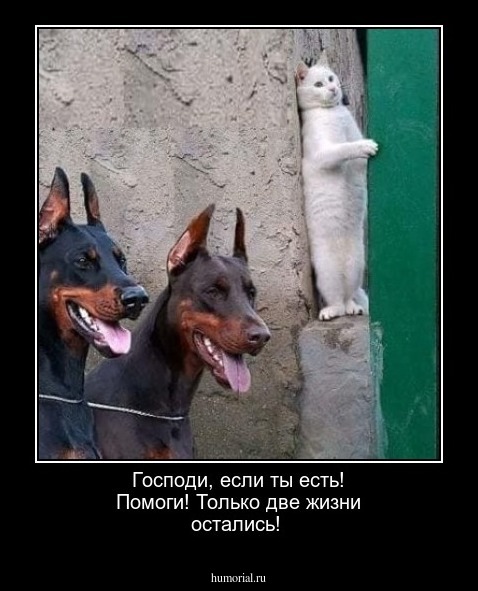 Господи, если ты есть! Помоги! Только две жизни остались!