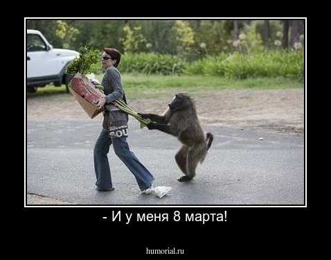 - И у меня 8 марта!