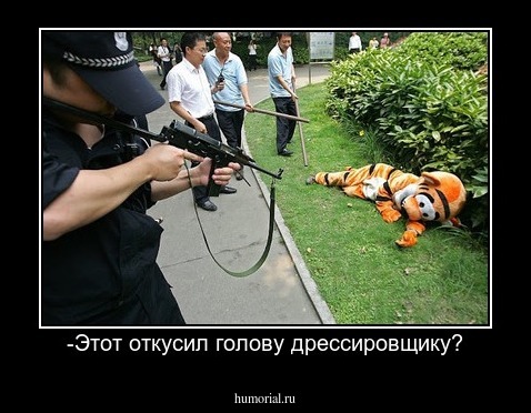 -Этот откусил голову дрессировщику?
