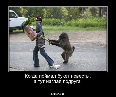 Когда поймал букет невесты, а тут наглая подруга