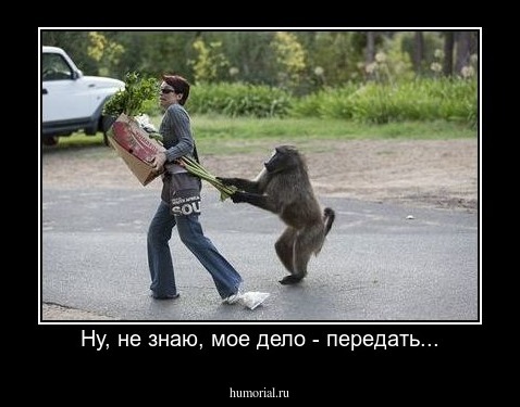 Ну, не знаю, мое дело - передать...