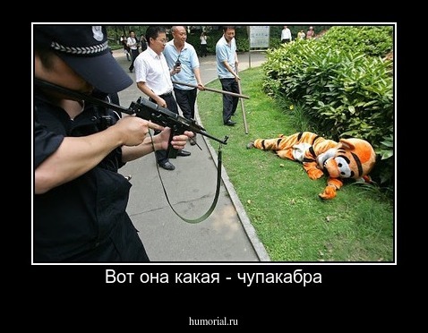 Вот она какая - чупакабра