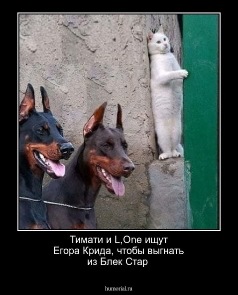Тимати и L,One ищут Егора Крида, чтобы выгнать из Блек Стар