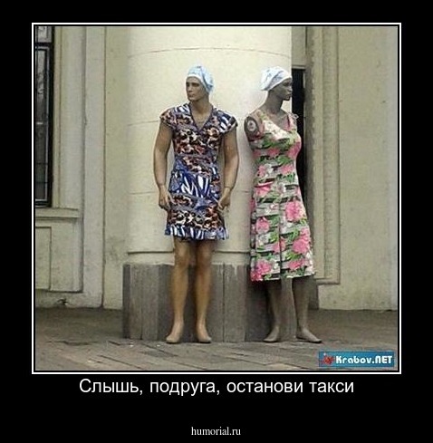 Слышь, подруга, останови такси