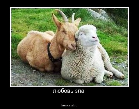любовь зла 