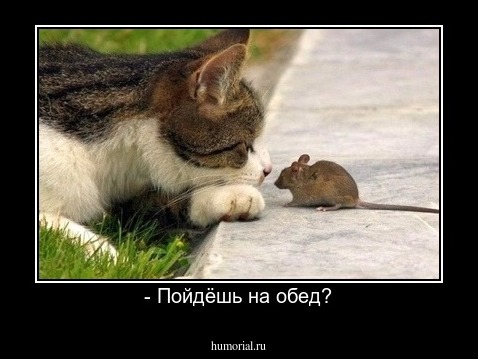 - Пойдёшь на обед?