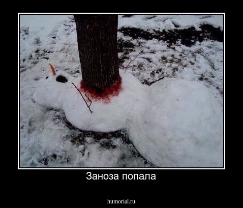 Заноза попала
