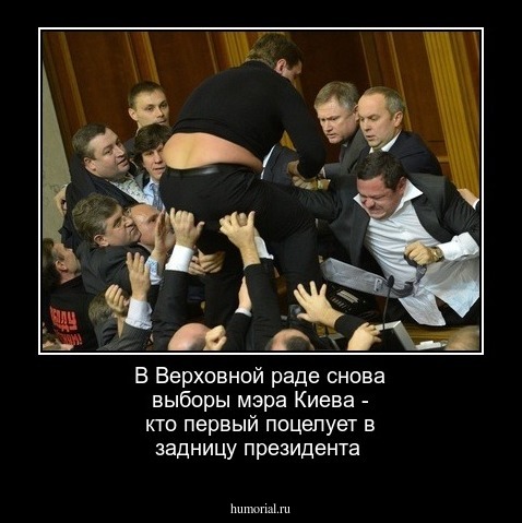 В Верховной раде снова выборы мэра Киева - кто первый поцелует в задницу президента