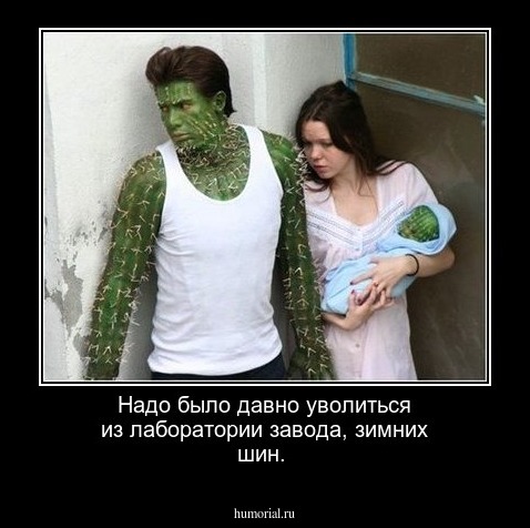 Надо было давно уволиться из лаборатории завода, зимних шин.
