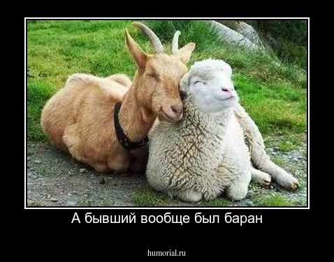 А бывший вообще был баран