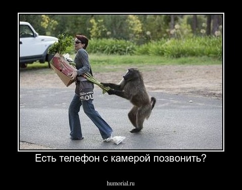Есть телефон с камерой позвонить?