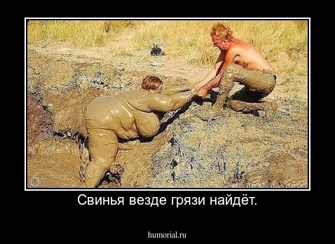 Свинья везде грязи найдёт.