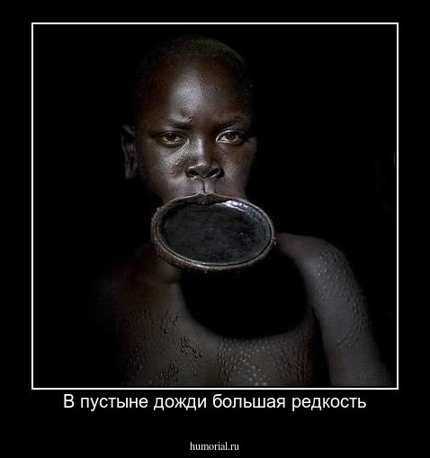 В пустыне дожди большая редкость