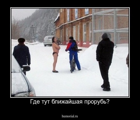 Где тут ближайшая прорубь?