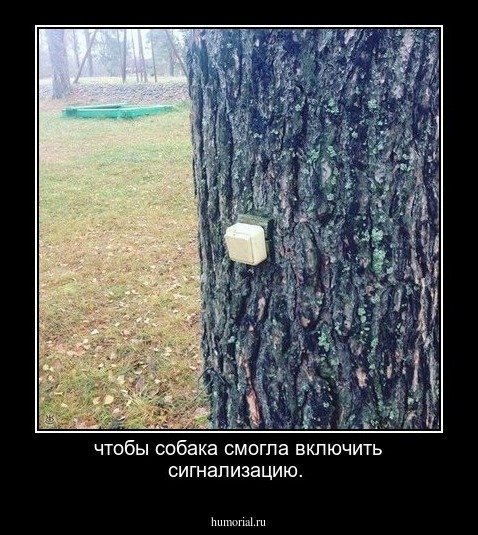 чтобы  собака смогла включить сигнализацию.