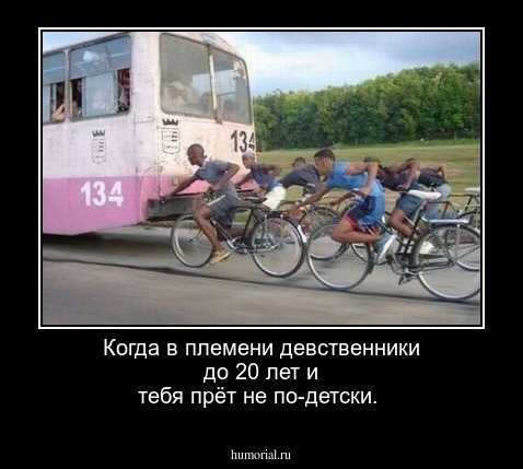 Когда в племени девственники до 20 лет и тебя прёт не по-детски.