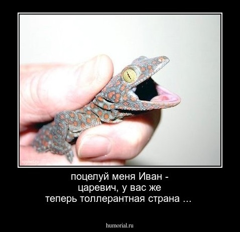 поцелуй меня Иван - царевич, у вас же теперь толлерантная страна ...