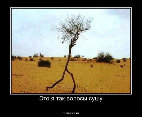 Это я так волосы сушу