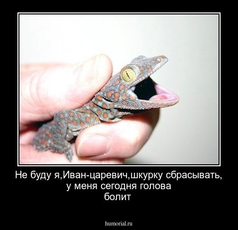 Не буду я,Иван-царевич,шкурку сбрасывать,
у меня сегодня голова болит