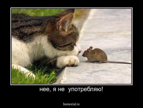 нее, я не  употребляю!