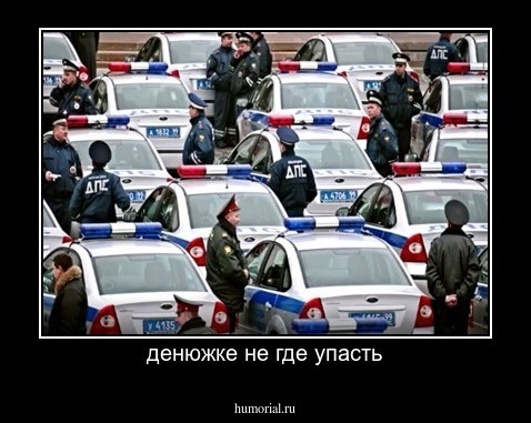 денюжке не где упасть