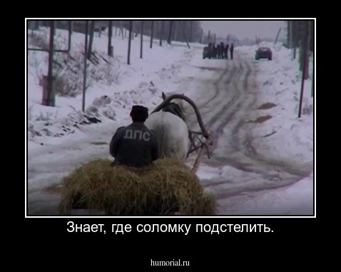 Знает, где соломку подстелить.