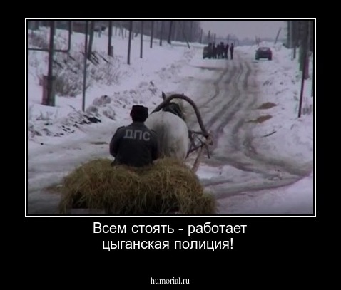 Всем стоять - работает цыганская полиция!