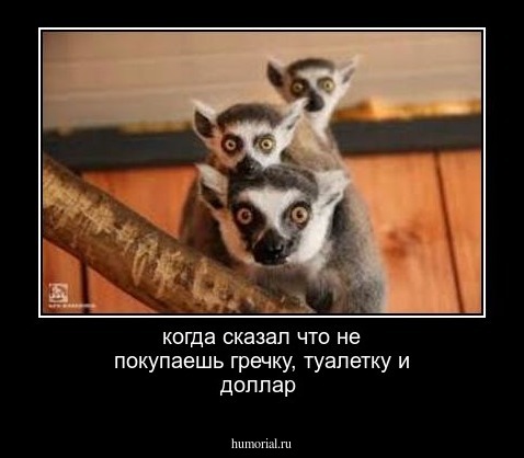 когда сказал что не покупаешь гречку, туалетку и доллар