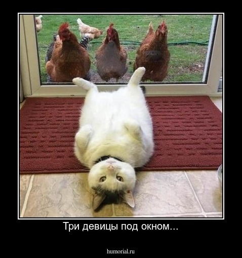 Три девицы под окном...