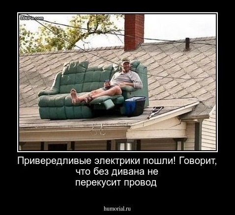 Привередливые электрики пошли! Говорит, что без дивана не перекусит провод