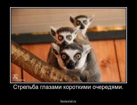 Стрельба глазами короткими очередями.