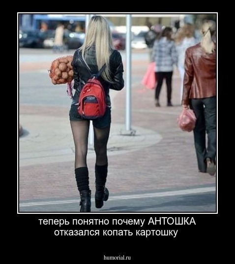теперь понятно почему АНТОШКА отказался копать картошку 