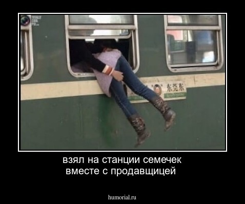 взял на станции семечек вместе с продавщицей