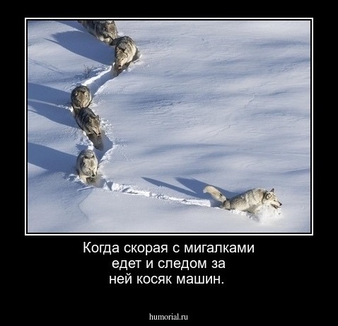 Когда скорая с мигалками едет и следом за ней косяк машин.