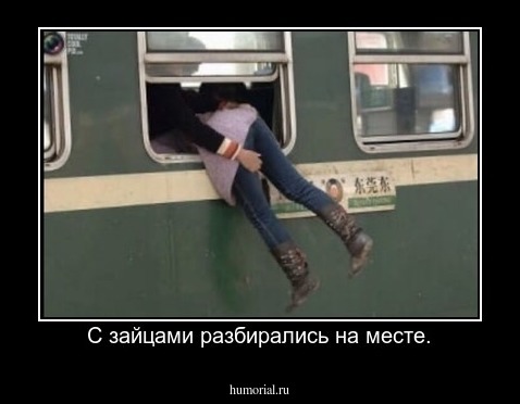 С зайцами разбирались на месте.