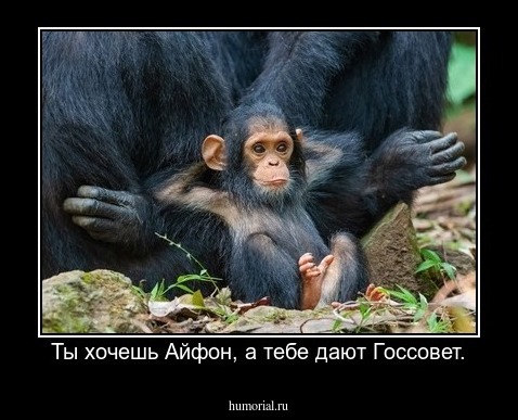 Ты хочешь Айфон, а тебе дают Госсовет.