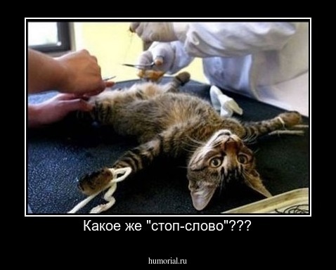 Какое же "стоп-слово"???