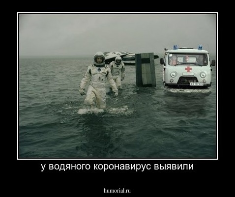 у водяного коронавирус выявили