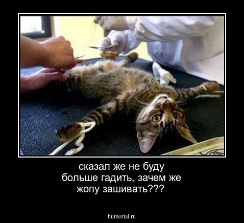 сказал же не буду больше гадить, зачем же жопу зашивать???