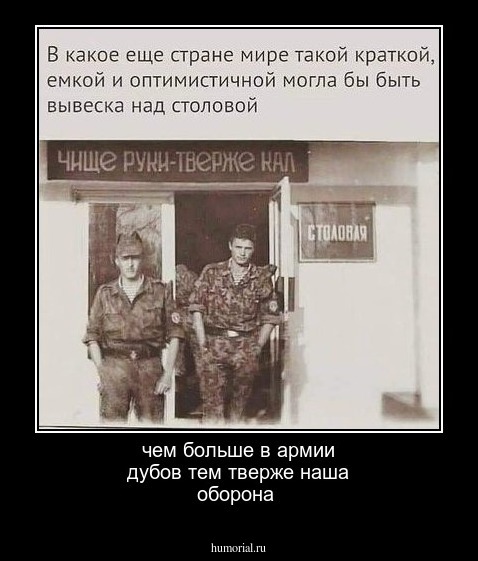 чем больше в армии дубов тем тверже наша оборона 