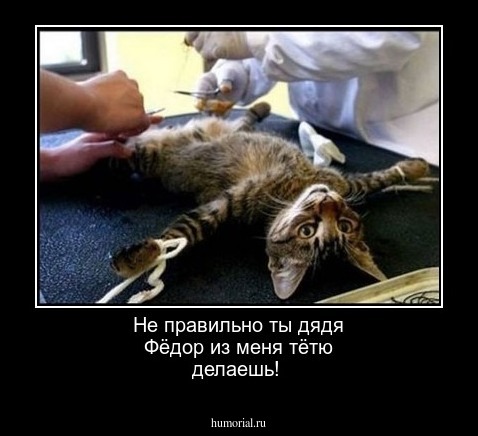 Не правильно ты дядя Фёдор из меня тётю делаешь!