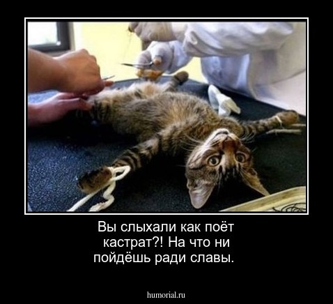 Вы слыхали как поёт кастрат?! На что ни пойдёшь ради славы.