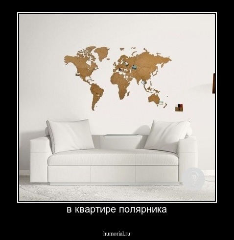 в квартире полярника