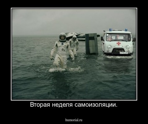 Вторая неделя самоизоляции.